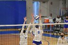 Volleyball vs RWU  Wheaton Women’s Volleyball vs Roger Williams University. : Volleyball, VB